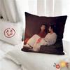 pc TV Sseries The Untamed Pillow Case Fashion Square Pillowcase Bedroom Sofa Room Ins Decoration Leisure