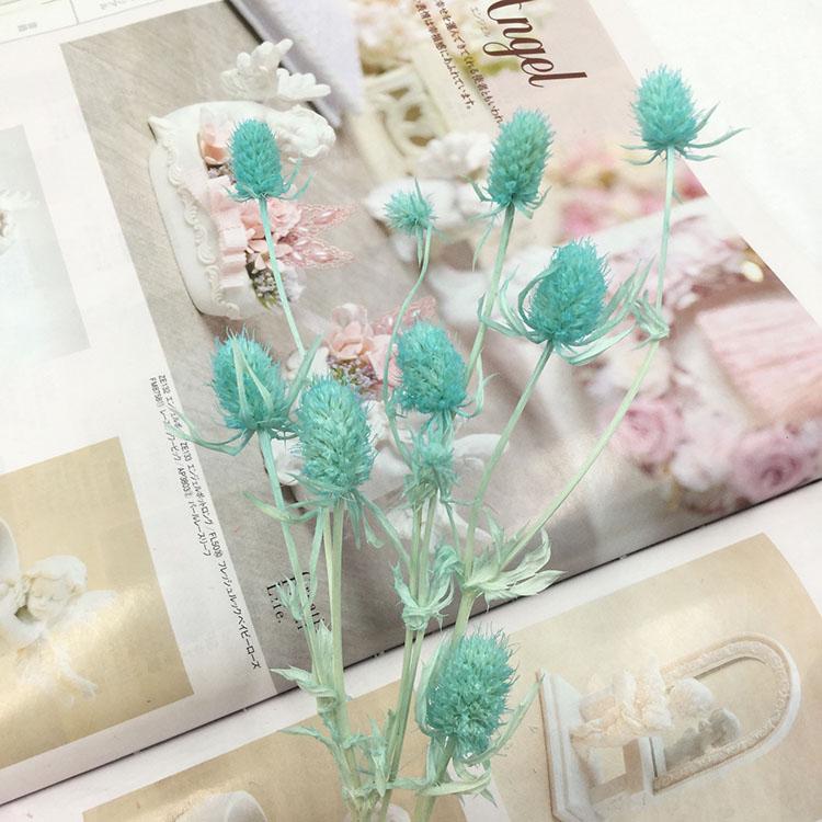 Preserved Eryngium Blue Planet Glass Dome DIY Wedding Flowers