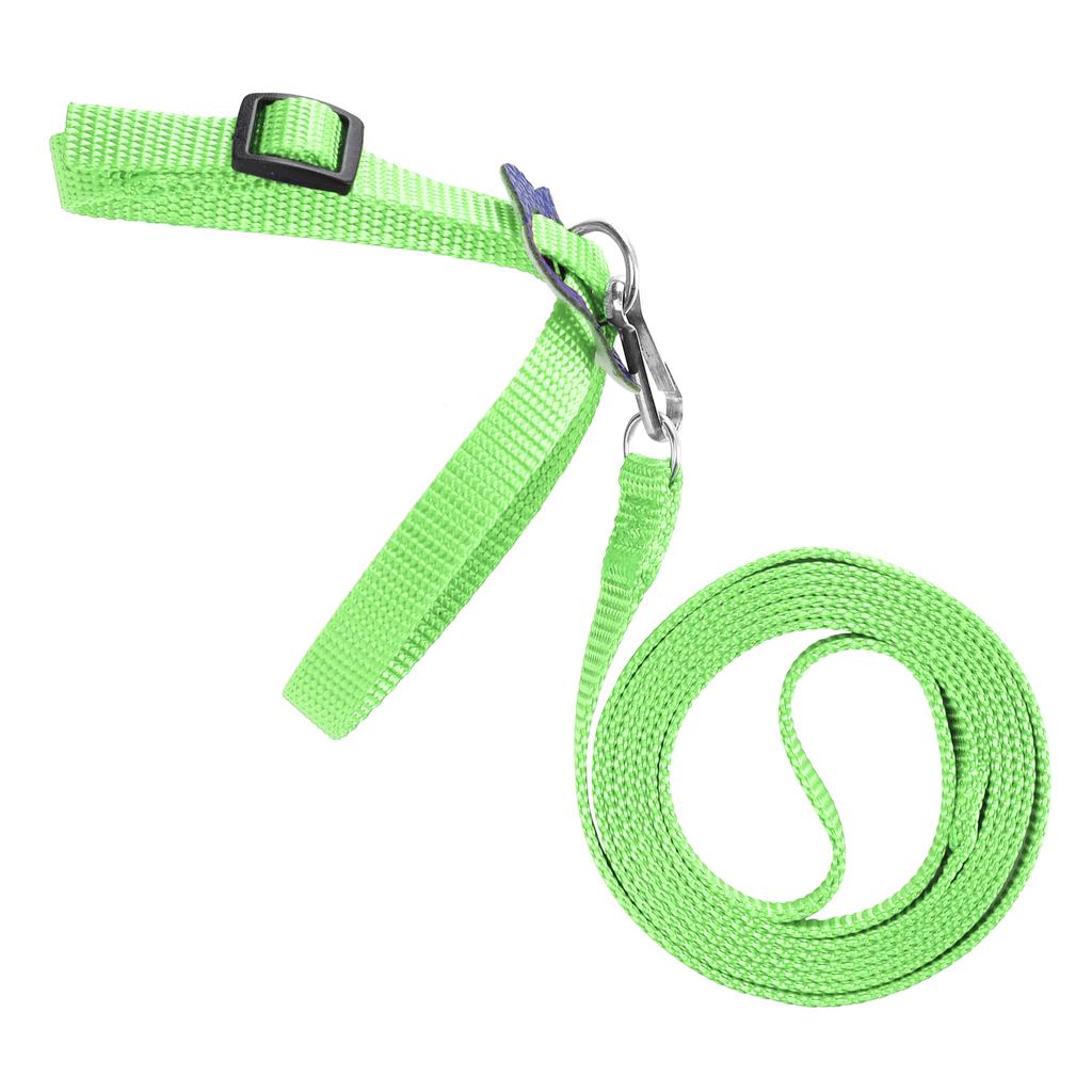 Vogelgeschirr Papageienleine Verstellbar Vögel Nylon Anti-Biss Seil für Outdoor-Training(Grün )