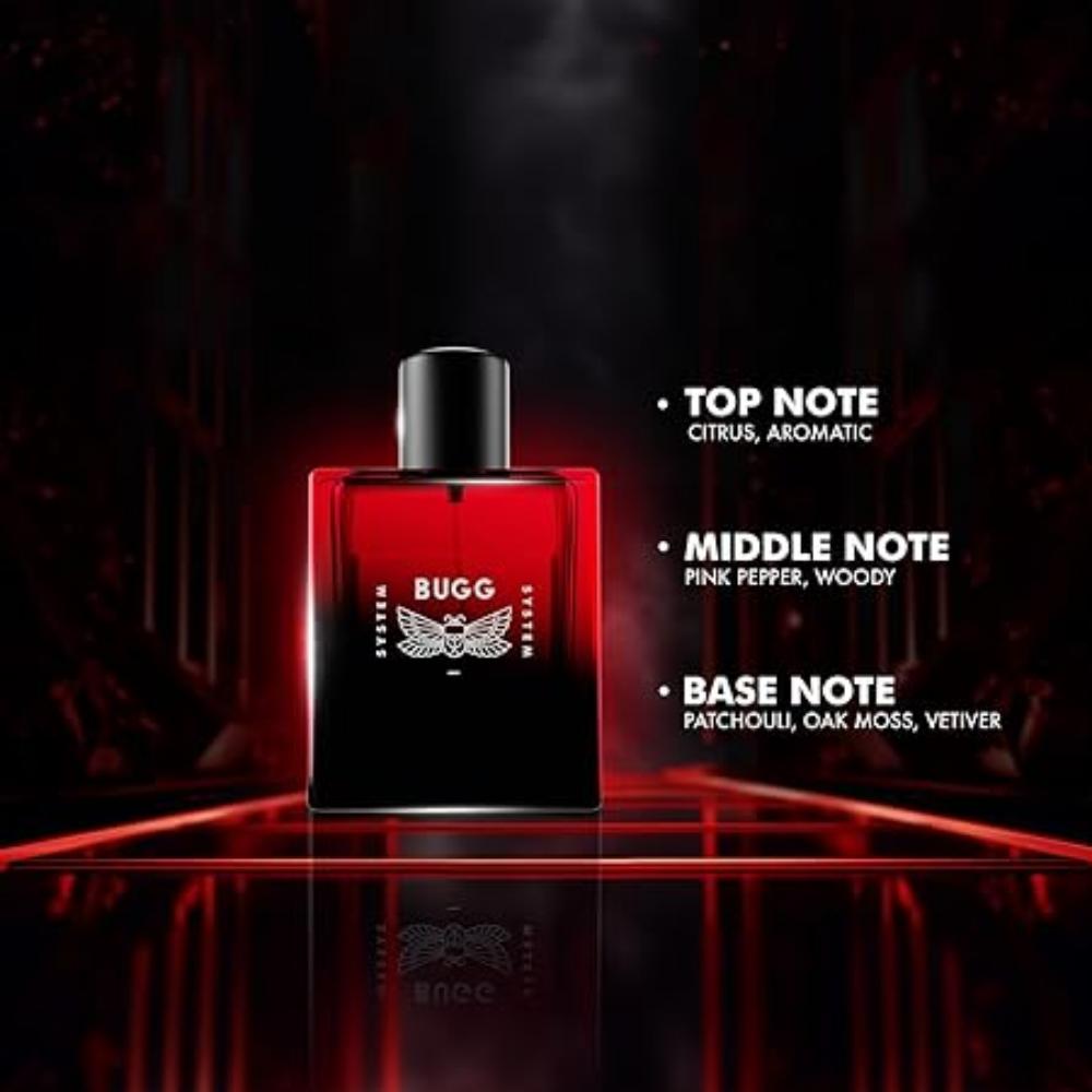 Parfum pour homme | 100 ml | Parfum EDP longue durée | Parfum aromatique, boisé et patchouli | Cadeau idéal pour homme | Parfum en spray | Eau de parfum