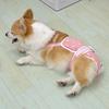 Adjustable Dog Physiological Pant Soft Dog Menstruation Pant Female Dog Shorts  For Four Seasons
