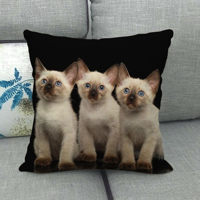 Uroczy zwierzęcy nadruk z kotem seria Sofa kreatywna poduszka prosta poduszka domowa impreza samochód