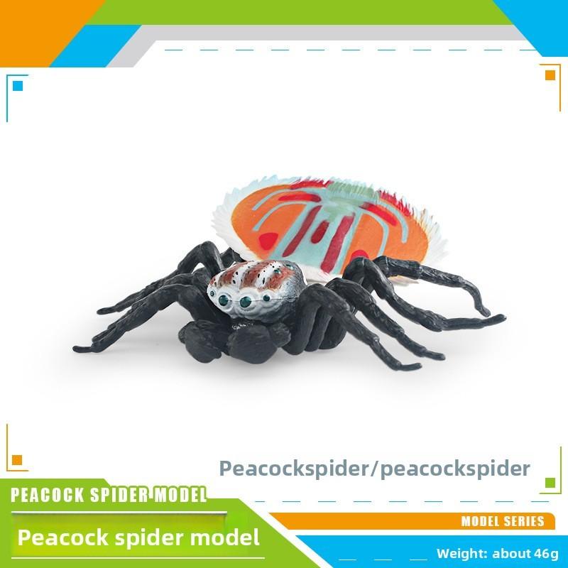 Spider Model Set With Plastic Material For Home Decor And Gift For Nature Lovers
