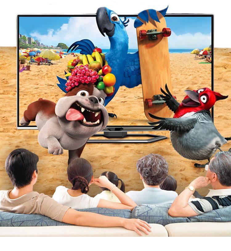 Old-Fashioned DTMB Indoor/Outdoor Digital HDTV Antenna