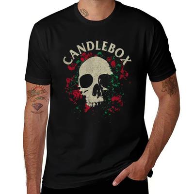 Üst giysisi – T-shirtler