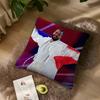 Singer SSlimane France Pillow Case Living Room Accent Couch Back Support Square Lounge Restful Nap Companion ?