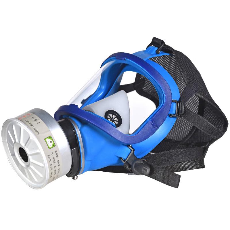 DAXTE Full Face Respirator Mask