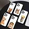 Goofy Cool Cats Big Eyes Phone Case For iPhone 17 16 15 14 13 12 Max Plus Silicone Black Cover