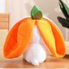 Fruit Rabbit Plush Toy Strawberry Carrot Rabbit Doll Throw Pillow Female Source