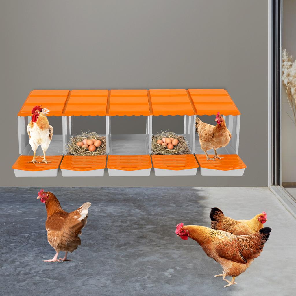 5-Compartment Chicken Nesting Box, Laying Hen Nest for Egg Collection, Durable PP Material,Farm & Coop Use, Poultry Supplies