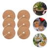 Improves Pot Aesthetics Coconut Coir Mat Plant Pot Mat Natural Coconut Fiber