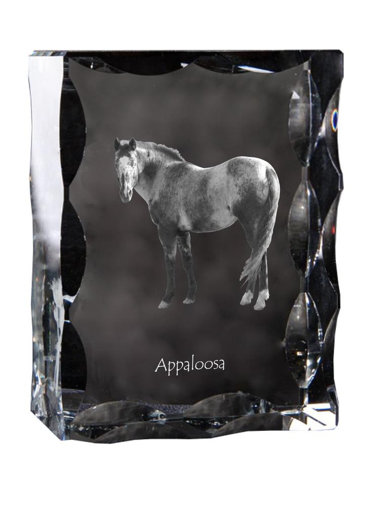 Appaloosa – Kryształ ze zdjęciem konia, szklana statuetka ze zdjęciem | Art-Dog