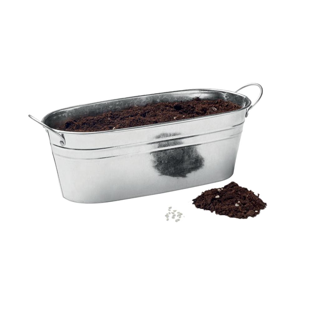 MidOcean Herb Seeds Plant Pot