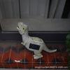 JYL TS/193,New Solar Dinosaur Light Simulation Resin Animal Model Solar T-Rex Figurine Wholesale