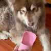 Portable Dog Water Bottle With Food Container Travel 2 In 1 Pet Water Dispenser For Small Large Dogs Cat Labrador Drinking Bowls