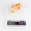 Cross-Border Animal Dog Model Toy: French Bulldog, Labrador, Shiba Inu, Corgi