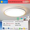 2025 LED Eye-Protecting Full Spectrum Ceiling Light for Bedroom and Living Room - Modern and Simple Design