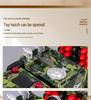 Alloy Anti-Aircraft Missile Artillery Vehicle Toy - Pull-Back Car for Boys Aged 1-6