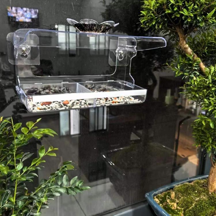 Weather Resistant Transparent Bird Feeder With Secure Suction Cup Design For Stable Outdoor Balcony indow Mounting