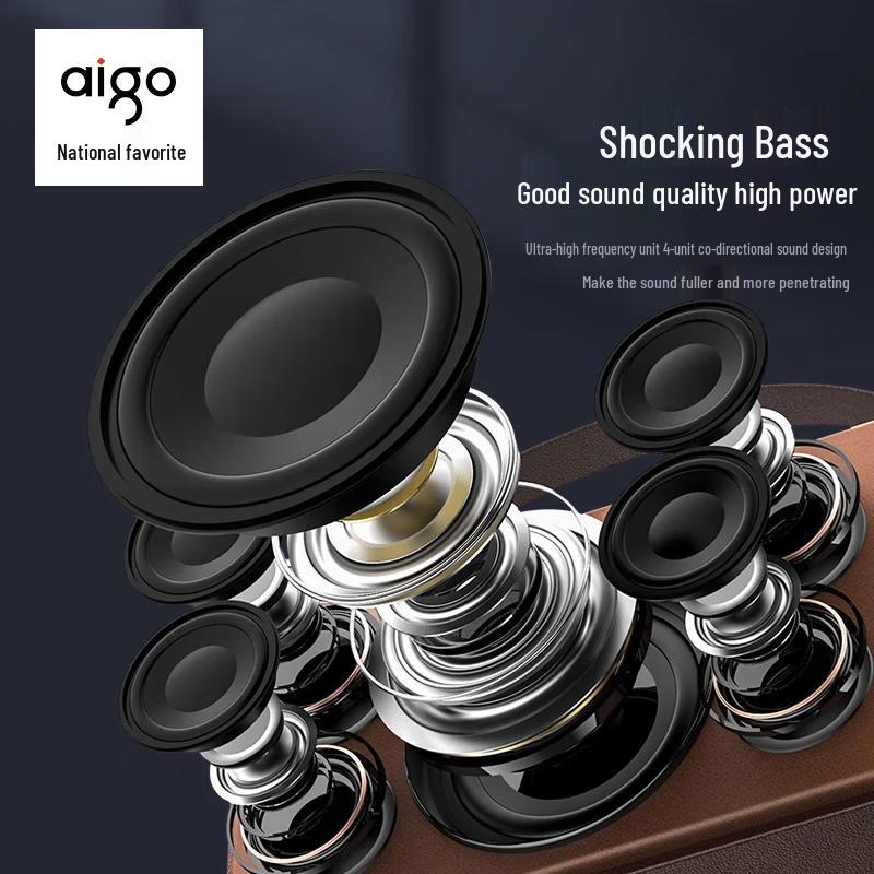 Aigo T190 Portable Outdoor KTV Bluetooth Speaker CN plug (adapter included)