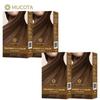 Treatment Easy Hair Dye Season 2 4 Boxes Yellow Brown