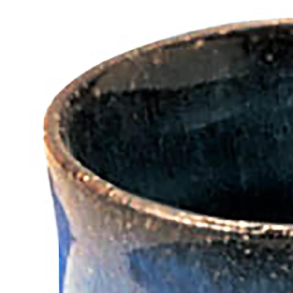 Nippon Tosai Kosai-an Blue Mug S38130400