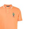 Polo Ralph Lauren Polo Bear polo shirt 710867573-002