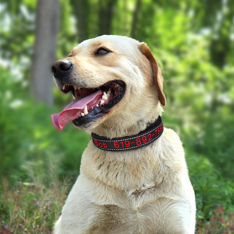 Embroidered Dog Collar Soft Padded Dogs Customized Collars Reflective Pet Necklace Night Safety For Small Medium Large Dogs Pug