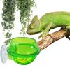 Gecko Escape Proof Ledge Accessories Worm Bowl Feeder Plate Food Container Reptile Feeding Dish