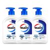 Walch Family Combo Silk Protein Hand Wash