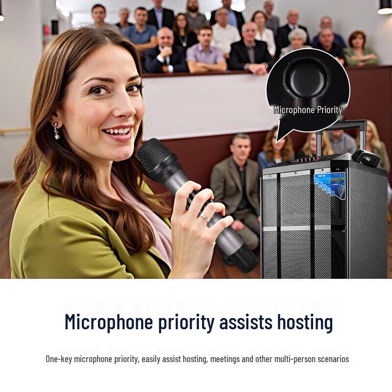 SAST SA-165 15-inch Portable Bluetooth Speaker CN plug (adapter included)