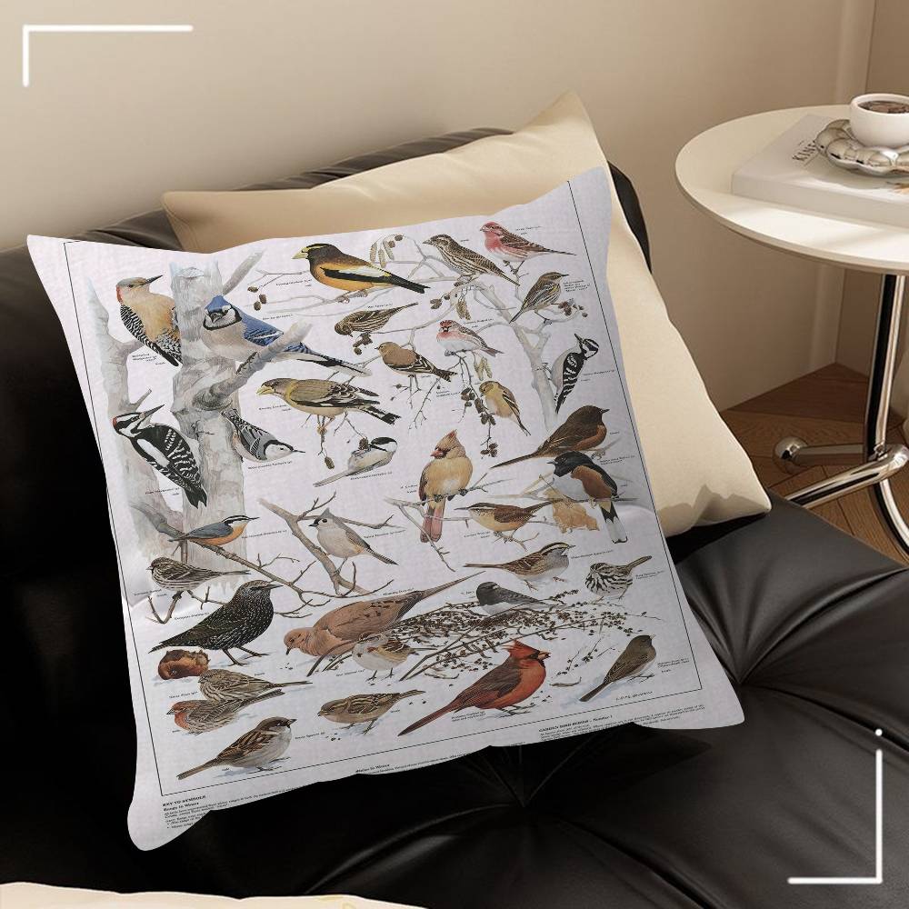 Various Types Of Birds Animal Introduction Pillow Covers Cartoon Sofa Home Doublesided Printing Short Plush Cute Cushion Cover