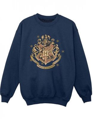 Överdelar (Pojkar från 4 år) – Luvtröjor, tröjor och sweatshirts