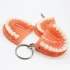 Creative Simulation Upper Jaw Resin Tooth Key Chain Denture Key Chain Teeth Keyring Teeth Pendant