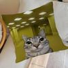 Creepypasta weird B-Backrooms   Personalized picture text home decorative pillows Household Gifts 45x45cm