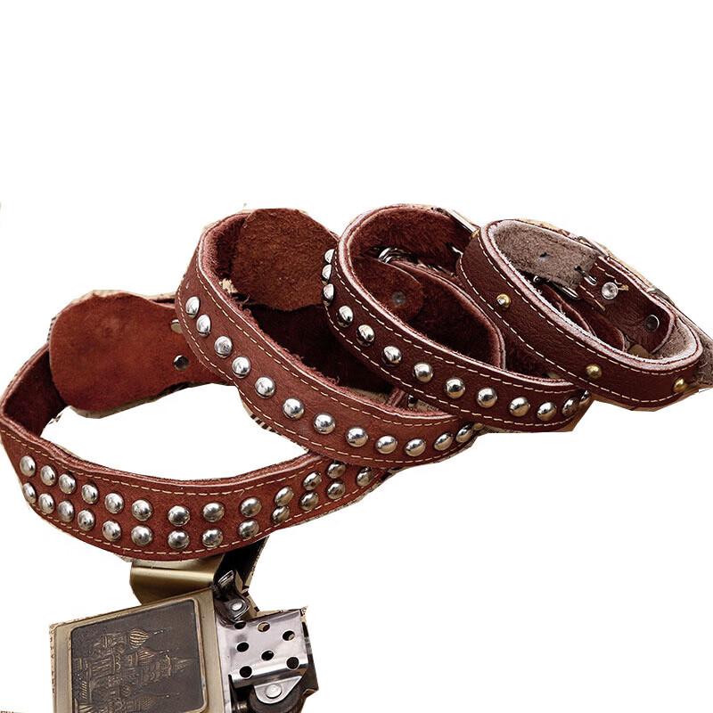 Thickened Nylon Dog Training Collar