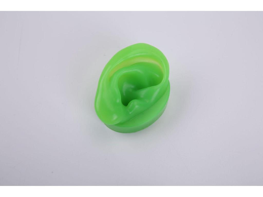 Silicone Ear Model for Training, Display & Ear Studs or Earphones