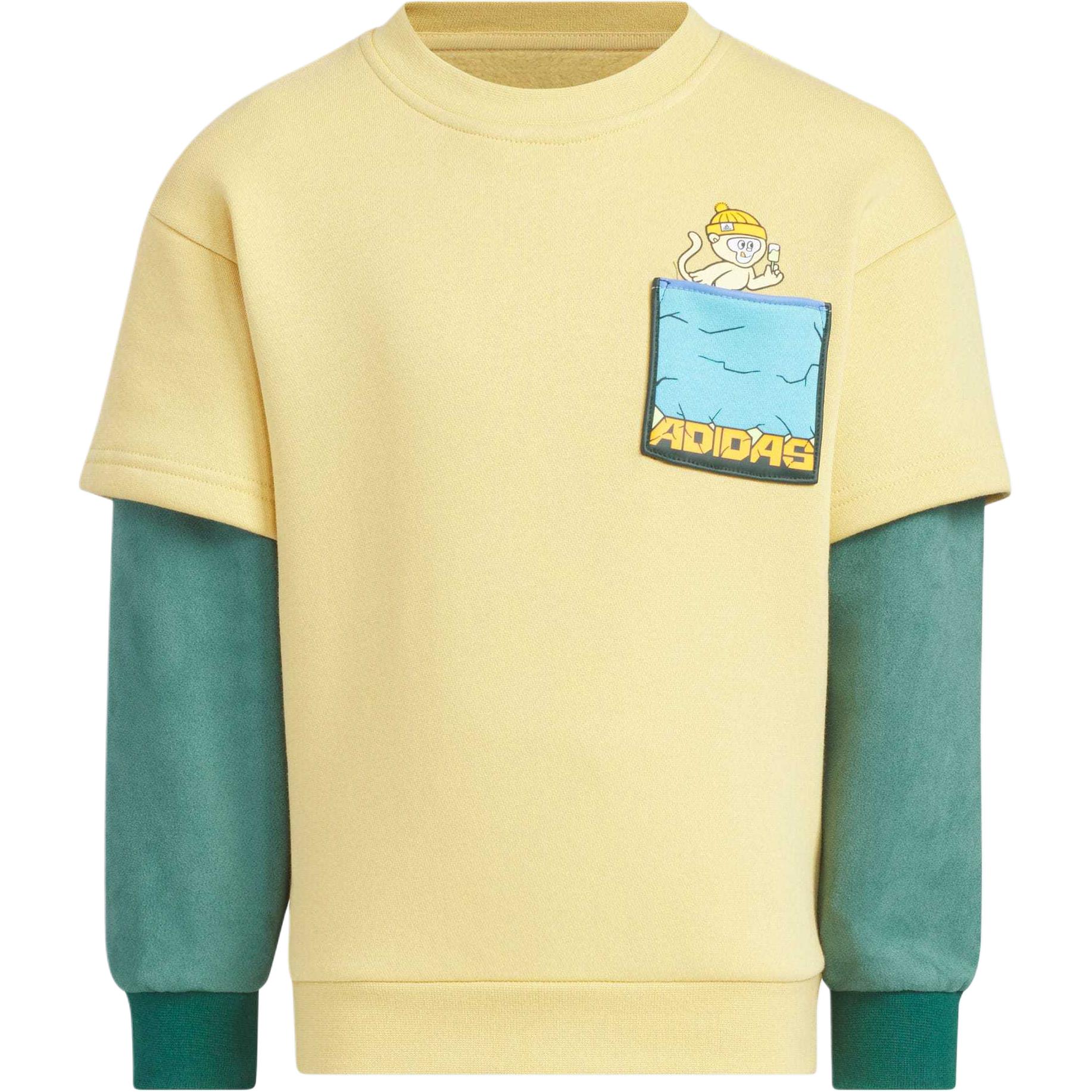 

Adidas Pre School Sweatshirts Crew Neck Moderate JJ4955 104