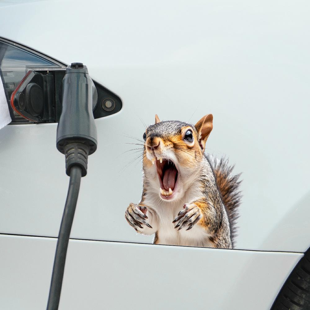 Quirky Roaring Squirrel Glass Car Landscaping Decoration Stickers