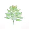 Diy Simulated Succulent Plant Hair Planting, Mini Fake Succulent Bonsai With Flowers, More Than 20 Styles Of Bn1