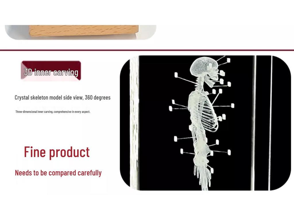 3D Carved Skeleton Brain Model Ornament - White Crystal Souvenir for Medical Students and Doctors