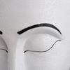 Flowerpot Resin Face Head Resin Wall Mounted for Indoor Outdoor Garden Decoration White