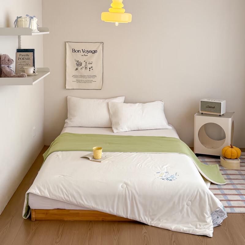 

Southern Life 7A Antibacterial Cooling Silk Summer Quilt