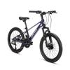 Forever Youth Mountain/City Bike