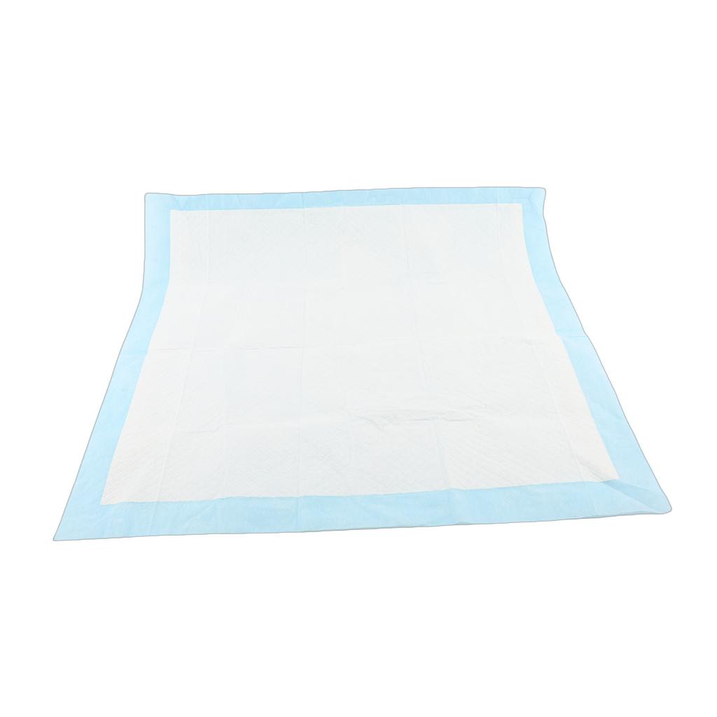 100PCS Pet Pee Pads Absorbing Thickened Leakproof Dog Puppy Training Pads Set 22x22in