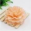 Paper Flower Balls: Festival, Birthday, Party, Wedding & Event Decorations Streamers (European & American Style)