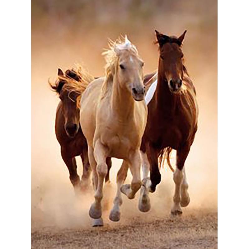 Diy 5d Diamond Painting Animal Full Drill Round Drill Diamond Embroidery Cross Stitch Kits Horse Wall Art Home Decor Gift