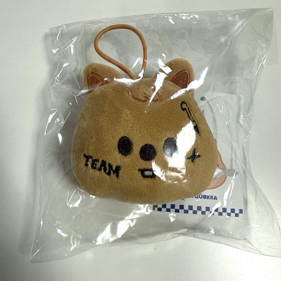 

[USED] Stray Kids Han Karma SKZOO Name Tag