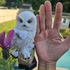 1PC Solar LED Owl Garden Stake Lights Realistic Outdoor Landscape Lighting Glow for Parks Pathways Ambient Spooky Stake Light