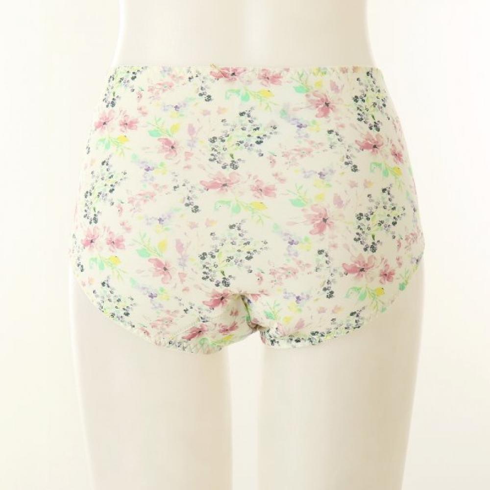 Wacoal Modal Print Urinary Incontinence Panty Wpt5007